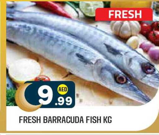 available at Baniyas Spike  in UAE - Abu Dhabi