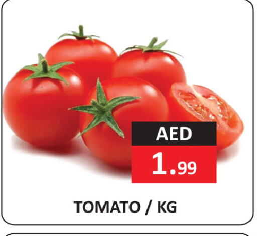 Tomato available at  RIVIERA SUPERMARKET L.L.C in UAE - Abu Dhabi