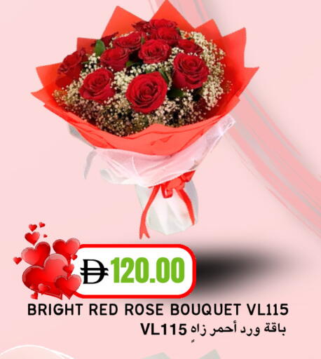 available at سيليكت ماركت in الإمارات العربية المتحدة , الامارات - أبو ظبي