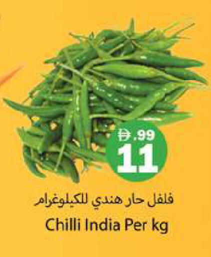 Chilli from India available at Gulf Hypermarket LLC in UAE - Ras al Khaimah