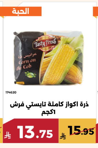 available at Forat Garden in KSA, Saudi Arabia, Saudi - Mecca