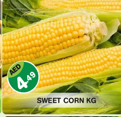 available at Baniyas Spike  in UAE - Abu Dhabi