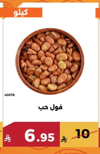 available at Forat Garden in KSA, Saudi Arabia, Saudi - Mecca