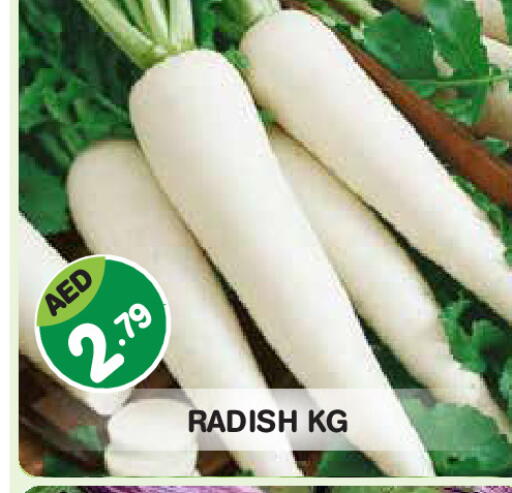 Radish available at Baniyas Spike  in UAE - Abu Dhabi