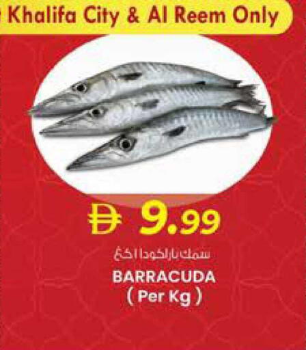 available at صفا اكسبريس سوبرماركت in الإمارات العربية المتحدة , الامارات - أبو ظبي