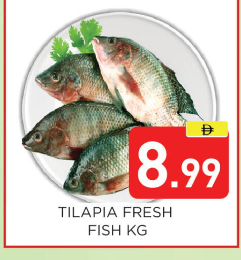 available at Ain Al Madina Hypermarket in UAE - Sharjah / Ajman