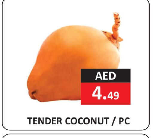 Coconut available at  RIVIERA SUPERMARKET L.L.C in UAE - Abu Dhabi