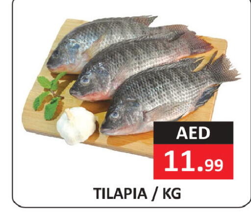 available at  RIVIERA SUPERMARKET L.L.C in UAE - Abu Dhabi