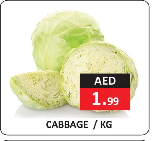 Cabbage available at  RIVIERA SUPERMARKET L.L.C in UAE - Abu Dhabi