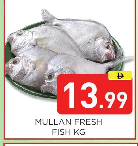 available at Ain Al Madina Hypermarket in UAE - Sharjah / Ajman