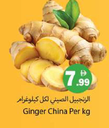 Ginger from China available at Gulf Hypermarket LLC in UAE - Ras al Khaimah