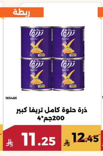 available at حدائق الفرات in مملكة العربية السعودية, السعودية, سعودية - مكة المكرمة