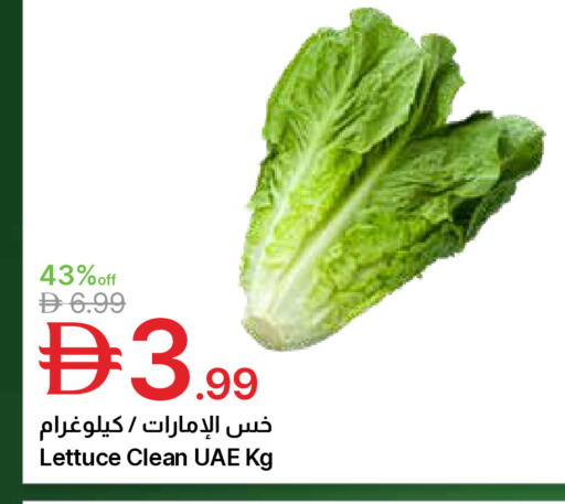 Lettuce available at Emirates Co-Operative Society in UAE - Dubai
