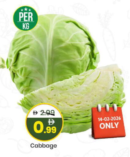 Cabbage available at مارك & سيف in الإمارات العربية المتحدة , الامارات - الشارقة / عجمان