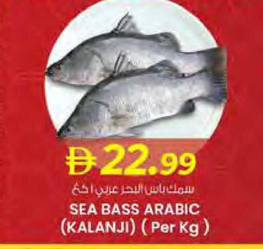 available at صفا هايبر in الإمارات العربية المتحدة , الامارات - ٱلْعَيْن‎