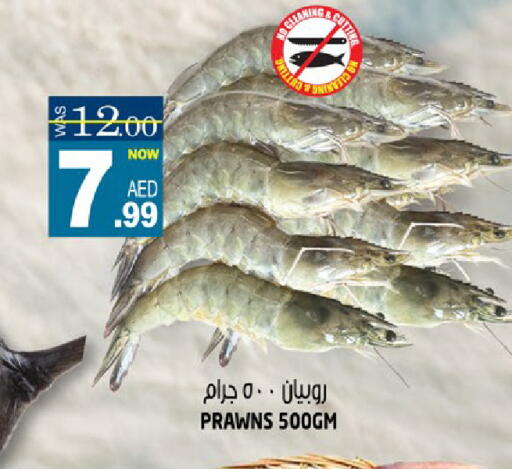 available at هاشم هايبرماركت in الإمارات العربية المتحدة , الامارات - الشارقة / عجمان