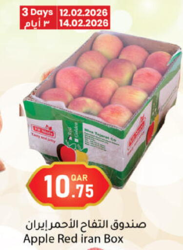 Apple from Iran available at دانا ماركت in قطر - الشمال