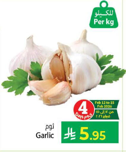 Garlic available at كبايان هايبرماركت in مملكة العربية السعودية, السعودية, سعودية - جدة