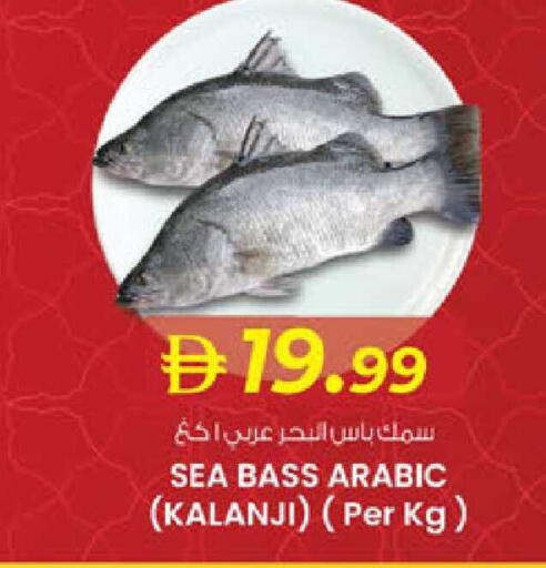 available at K M Trading  in UAE - Fujairah