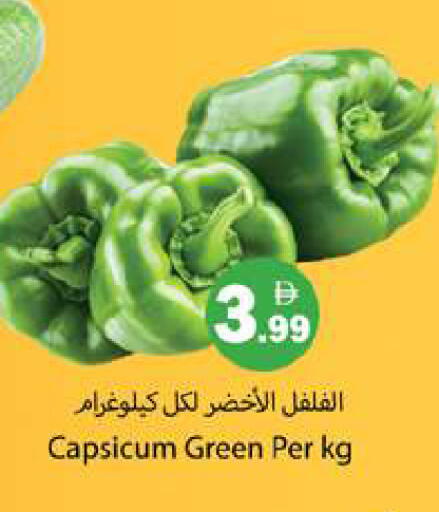 Capsicum available at Gulf Hypermarket LLC in UAE - Ras al Khaimah