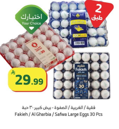 available at الراية in مملكة العربية السعودية, السعودية, سعودية - جدة