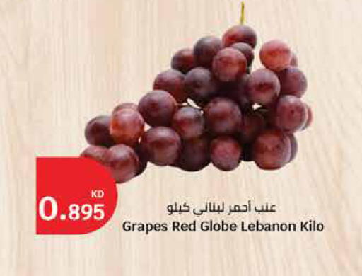 Grapes from Lebanon available at City Hypermarket in Kuwait - Ahmadi Governorate