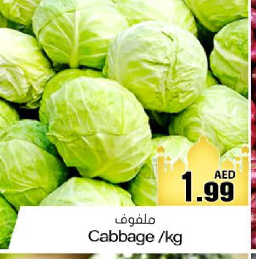 Cabbage available at Meem Sajidha in UAE - Fujairah