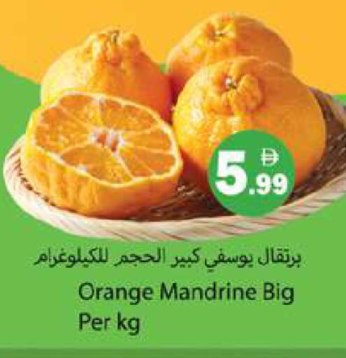 Orange available at Gulf Hypermarket LLC in UAE - Ras al Khaimah