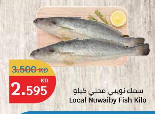 available at City Hypermarket in Kuwait - Kuwait City