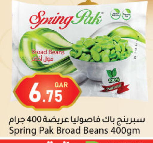 available at دانا ماركت in قطر - الشحانية