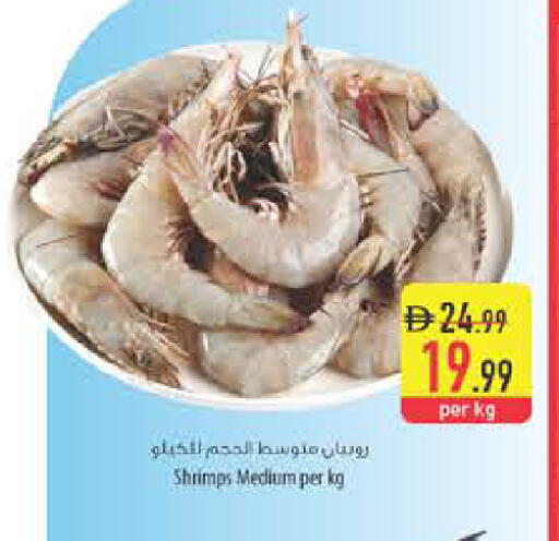 available at Safeer Market in UAE - Ras al Khaimah