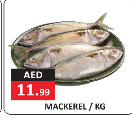 available at  RIVIERA SUPERMARKET L.L.C in UAE - Abu Dhabi
