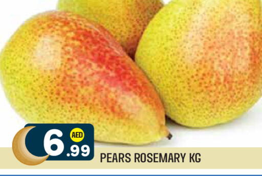 Rosemary available at Baniyas Spike  in UAE - Al Ain