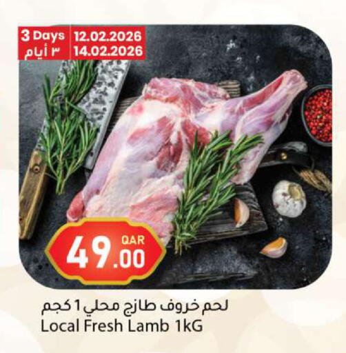 available at دانا ماركت in قطر - الضعاين