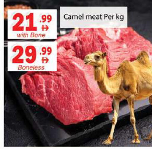 available at Gulf Hypermarket LLC in UAE - Ras al Khaimah