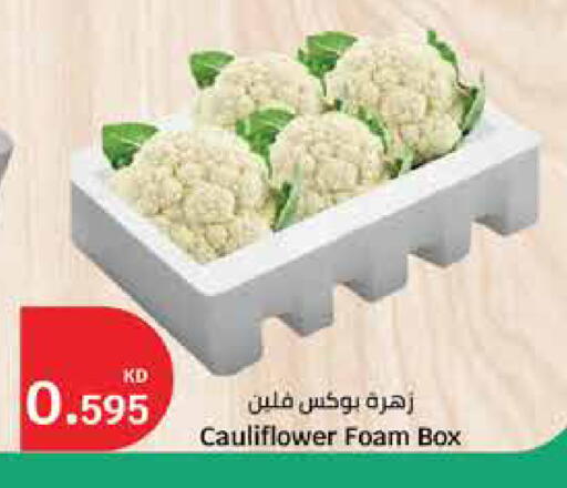 Cauliflower available at City Hypermarket in Kuwait - Kuwait City
