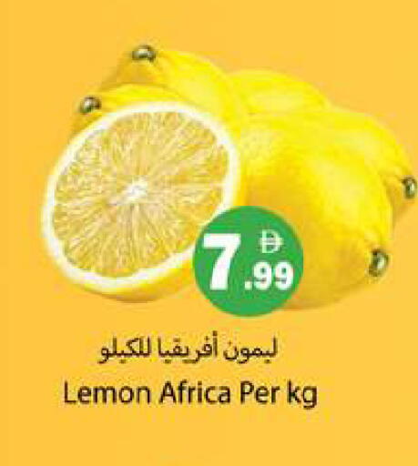 Lemon available at Gulf Hypermarket LLC in UAE - Ras al Khaimah