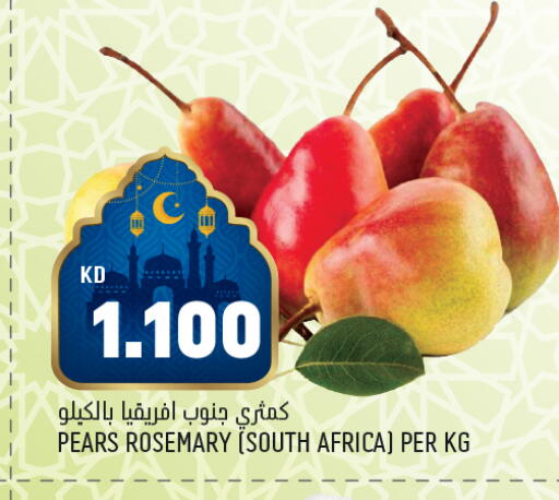 Rosemary from South Africa available at Oncost in Kuwait - Kuwait City