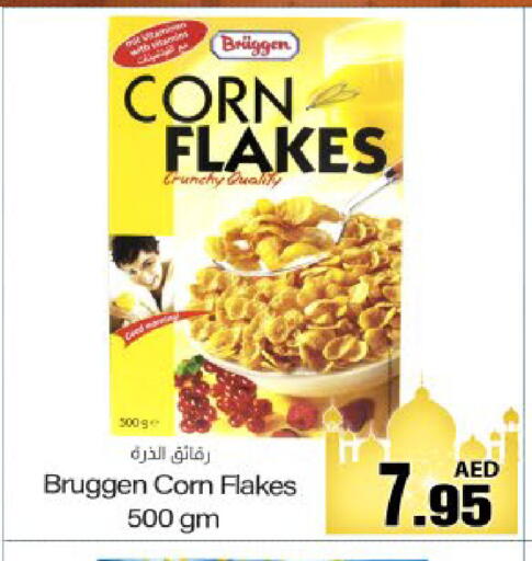 available at Meem Sajidha in UAE - Fujairah