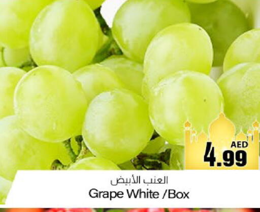 available at Meem Sajidha in UAE - Fujairah