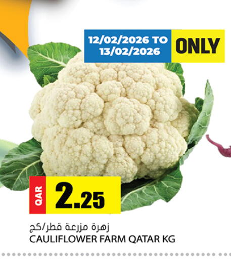 Cauliflower from Qatar available at جراند هايبرماركت in قطر - الضعاين