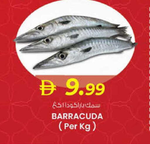 available at K M Trading  in UAE - Fujairah