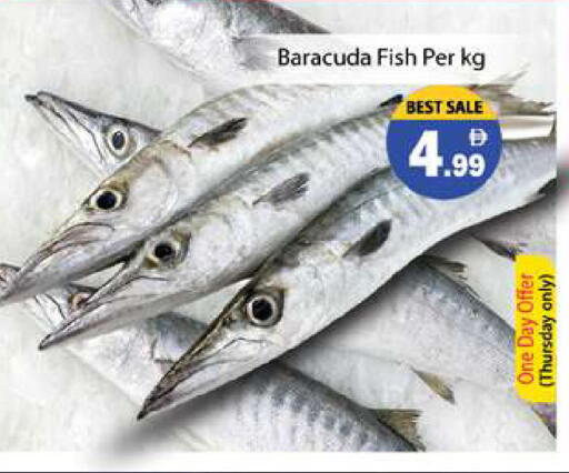 available at Gulf Hypermarket LLC in UAE - Ras al Khaimah