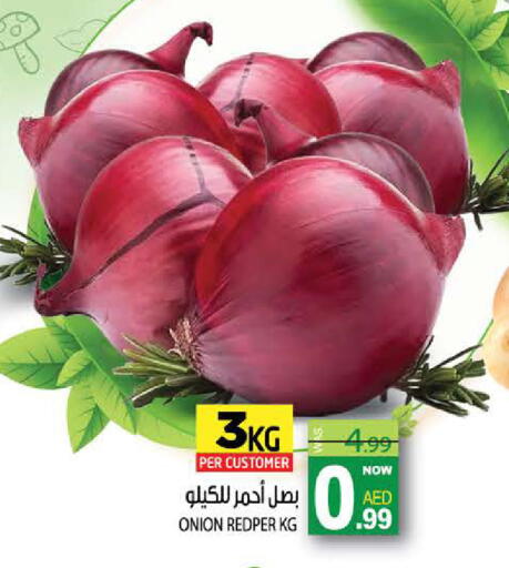 Onion available at هاشم هايبرماركت in الإمارات العربية المتحدة , الامارات - الشارقة / عجمان
