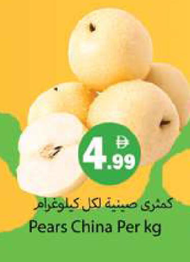 from China available at Gulf Hypermarket LLC in UAE - Ras al Khaimah