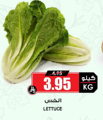 Lettuce available at أسواق النخبة in مملكة العربية السعودية, السعودية, سعودية - سكاكا