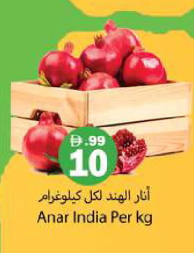 from India available at Gulf Hypermarket LLC in UAE - Ras al Khaimah