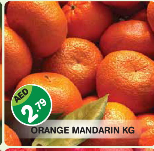 Orange Mandarin available at Baniyas Spike  in UAE - Abu Dhabi
