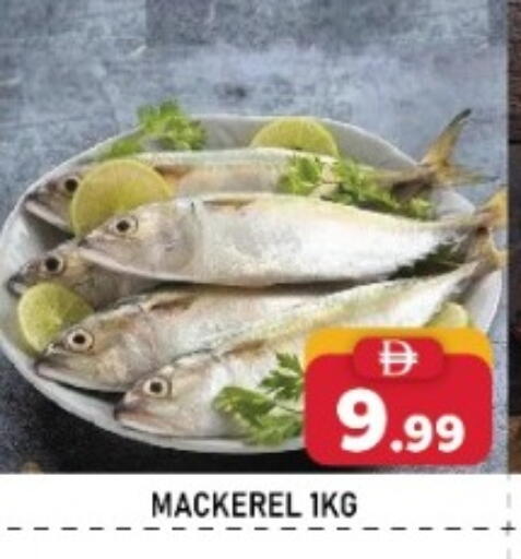 available at اي ون سوبر ماركت in الإمارات العربية المتحدة , الامارات - أبو ظبي