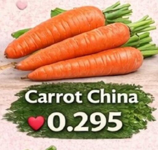 Carrot from China available at Hassan Mahmood Group in Bahrain